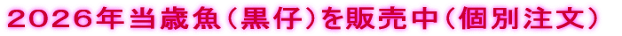 2026�N���΋��i���e�j��̔����i�ʒ����j